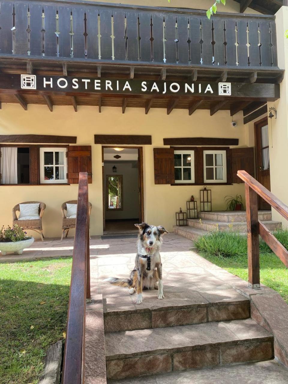 Hosteria Sajonia فيلا جيزيل المظهر الخارجي الصورة